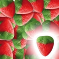 Fraises lisses